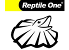 reptile-one